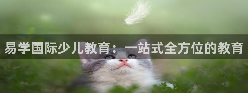 必一体育官网网址