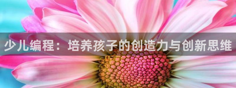 必一体育app下载装机吧