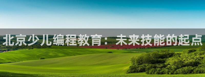 必一体育流水线是什么意思