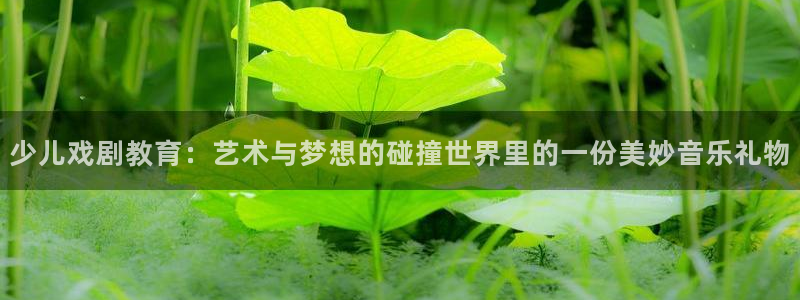 必一体育sportB体育