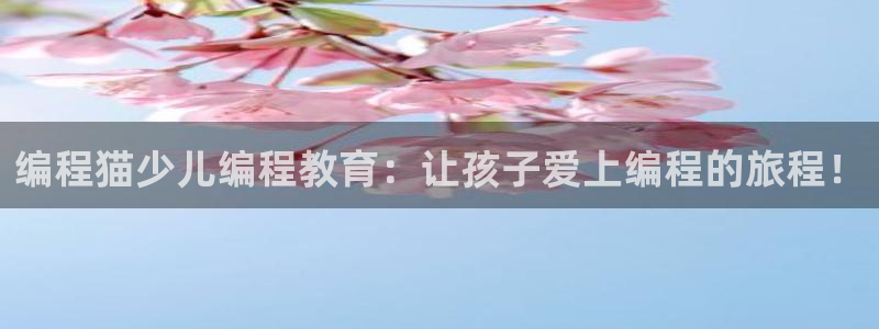 必一体育最新官网入口首页