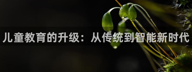 必一体育秀给网