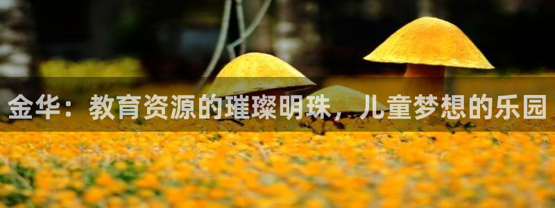 必一体育官网网址