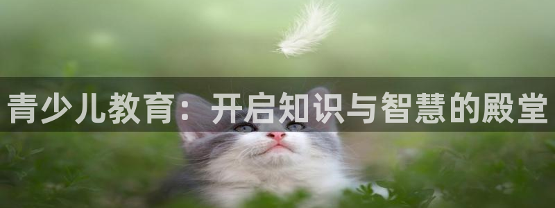 必一运动官网装机吧