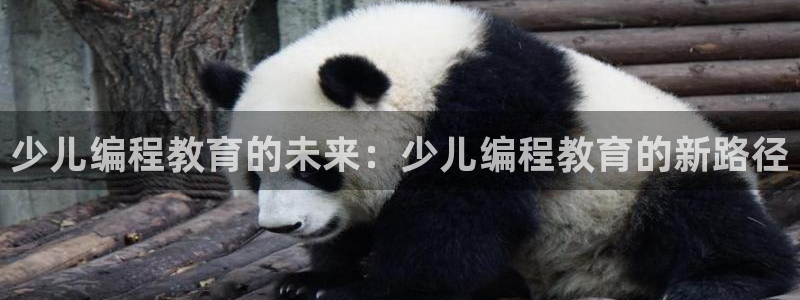 必十二和必一的副作用