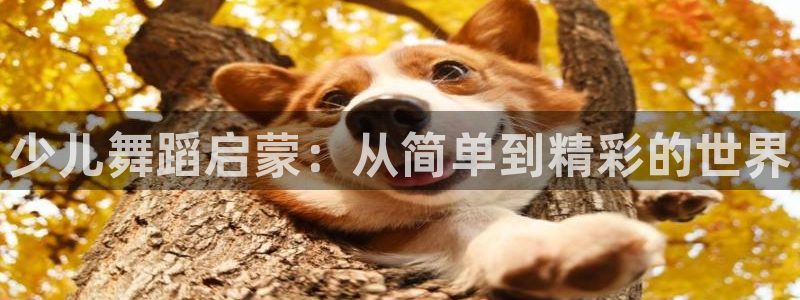 必一体育app下载最新版本苹果