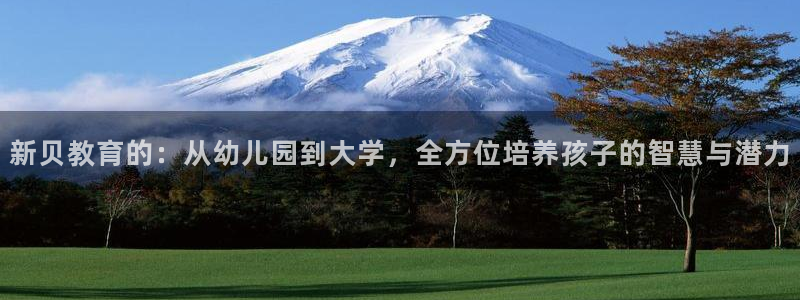 必一体育在线玩