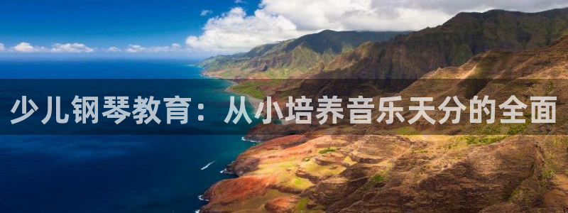 必一体育官网app