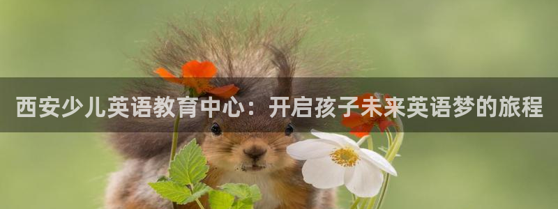 必一体育在线入口