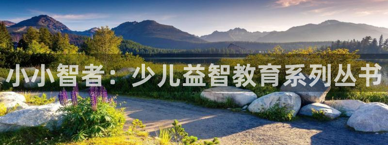 必一体育黑平台