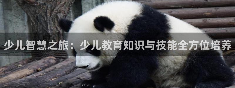 必一体育在线玩