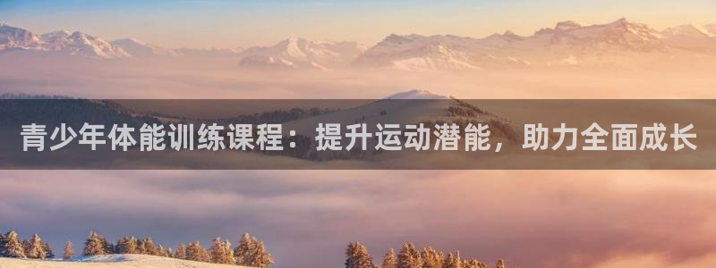 必一体育登录入口APP