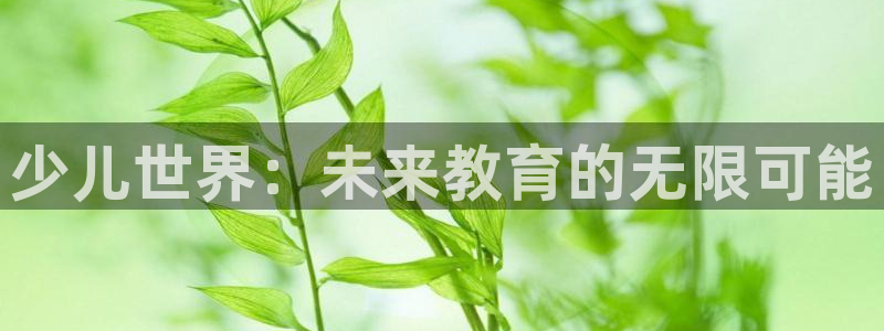 必一体育官网网站