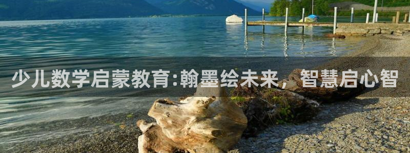 必一体育网页版登录