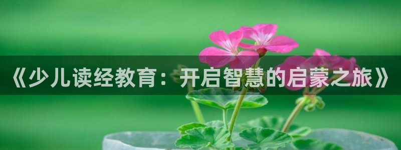 必一体育网页登陆