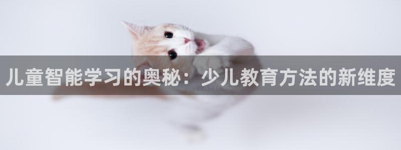 必一体育app下载最新版本