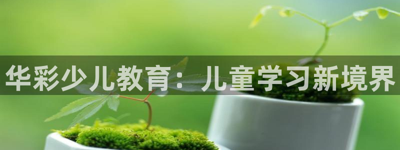 必一体育在线官网