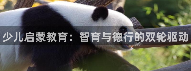 必一体育怎么下载