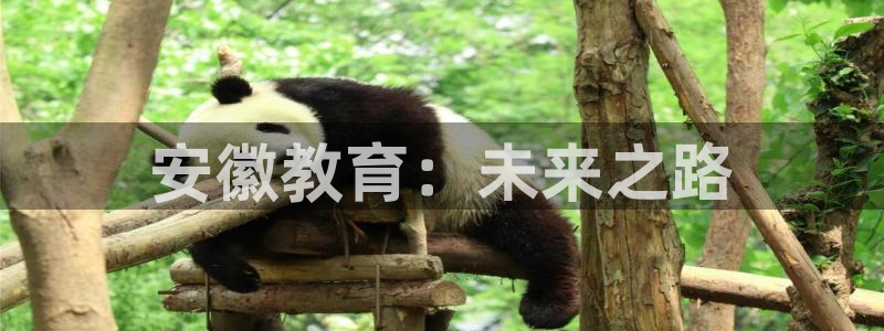 必一体育运动app下载