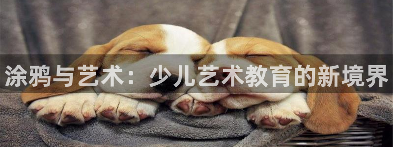 必一体育app官方