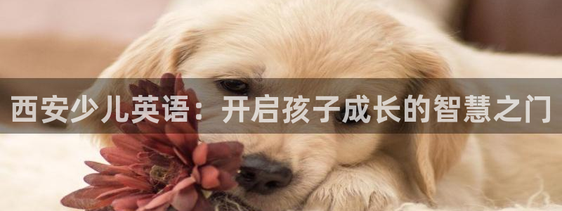 必一体育sport网页版