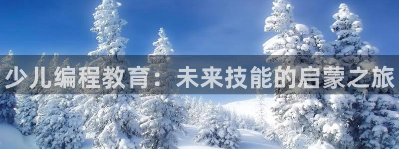 必一体育官网网站