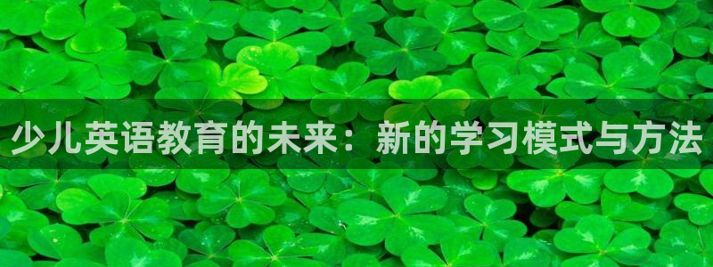 必一体育官网入口