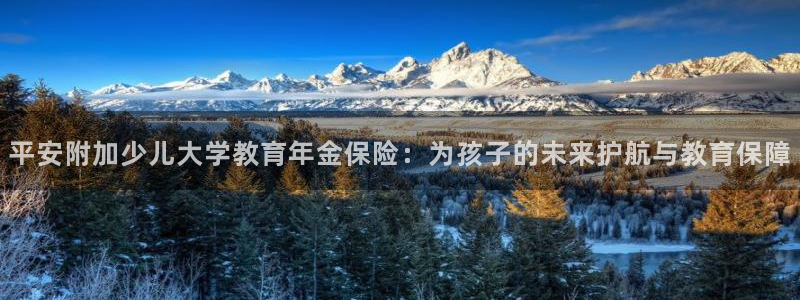 必一体育官方网站入口