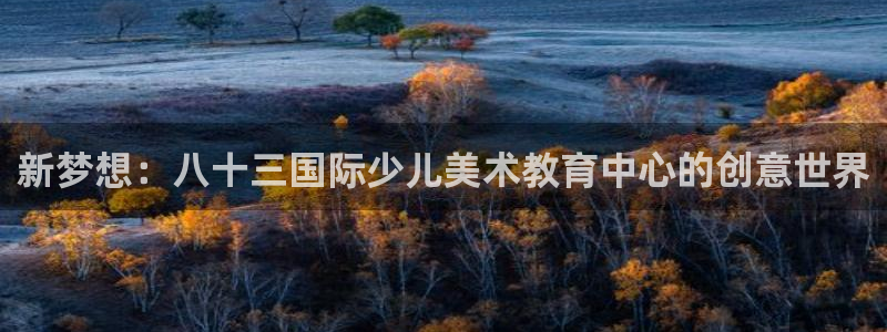 必一体育黑平台