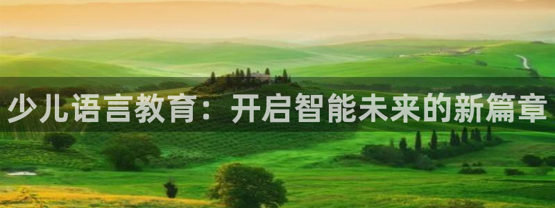 必一体育sport装机吧