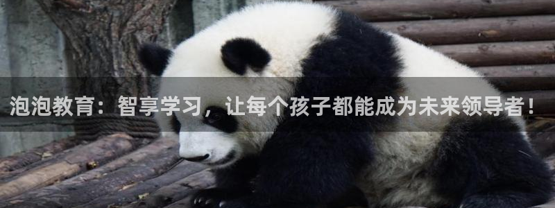 必一运动sport爱查股