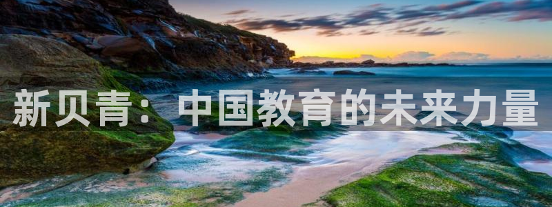 必一体育官方下载