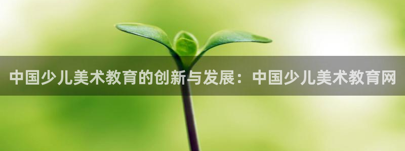 必一体育网页登录版官网