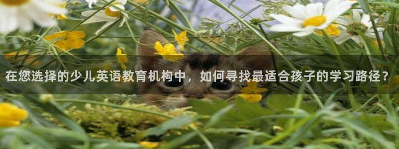 必一体育官方app下载