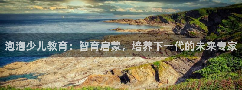 必一体育手机下载