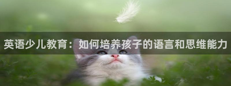 必一体育游戏特色