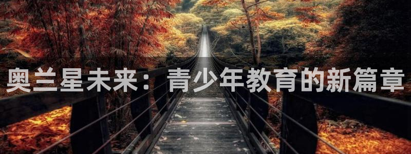 必一体育官网入口