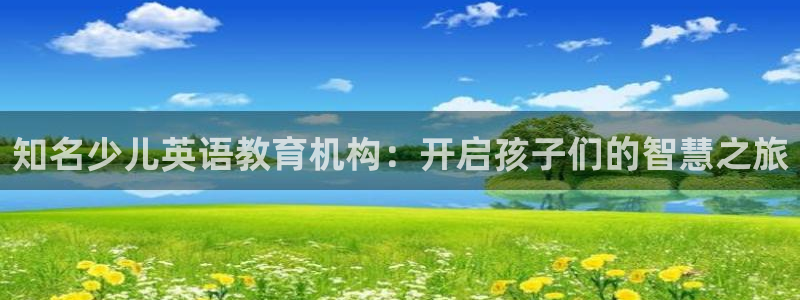 必一体育电子app