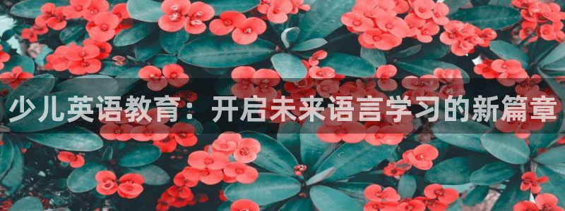 必一运动体育官网