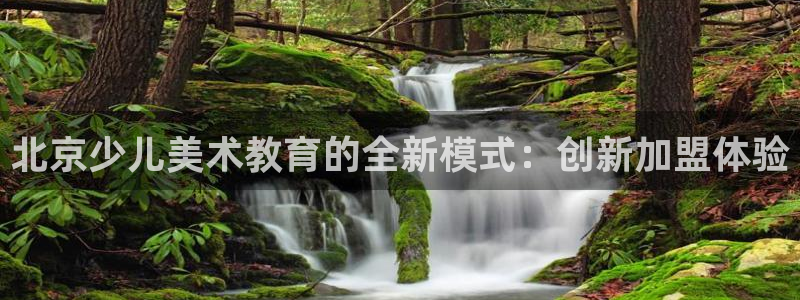 必一体育sport网页版