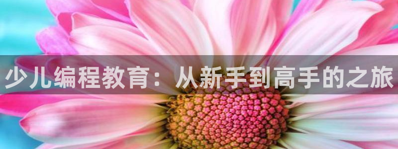 必一运动体育官网