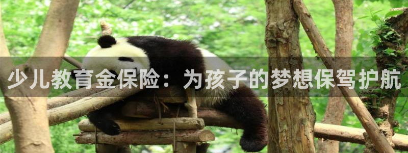 必一运动验证码