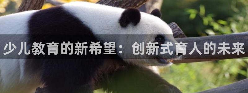 必一体育sport装机吧