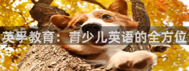 必一体育皮尔斯