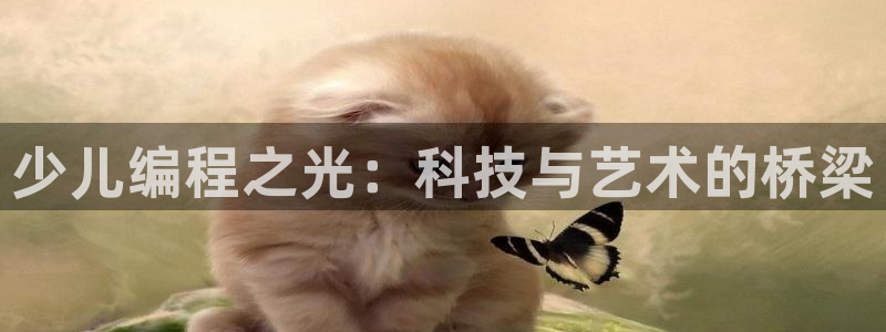 必一体育手机下载