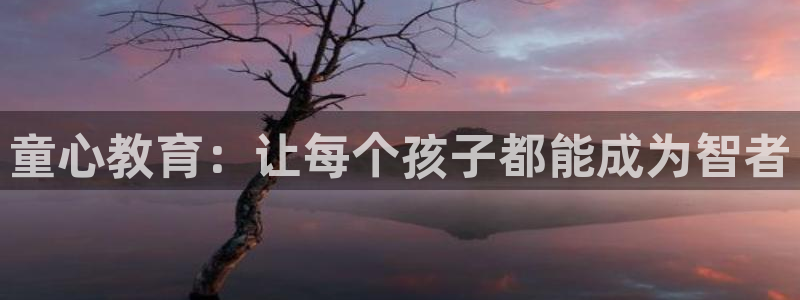 必一运动 b 体育素描版