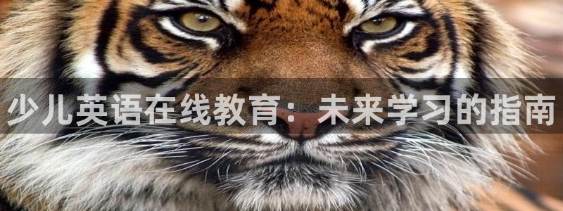 必一体育下载秀给网