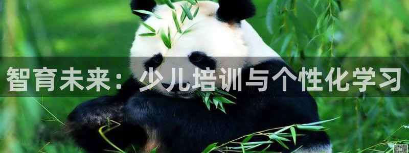 必一体育在线玩