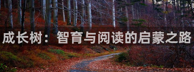 必一体育下载app下载