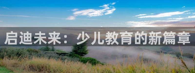 必一体育app下载装机吧